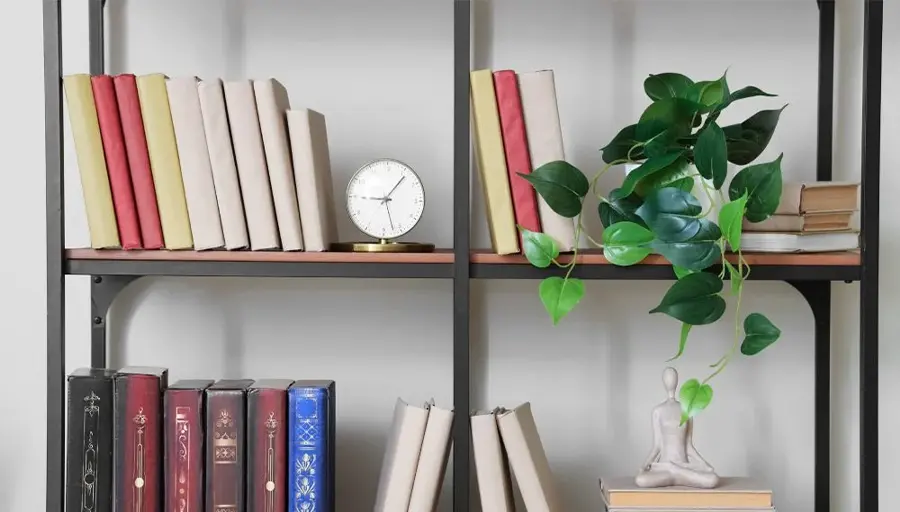 Kitaplık-Düzeni-Nasıl-Olmalı