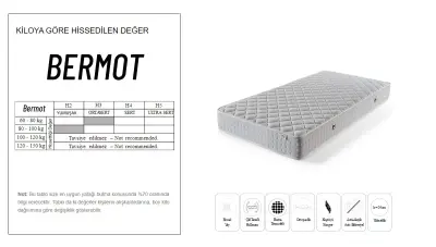 Bermot Spring Bed - 3