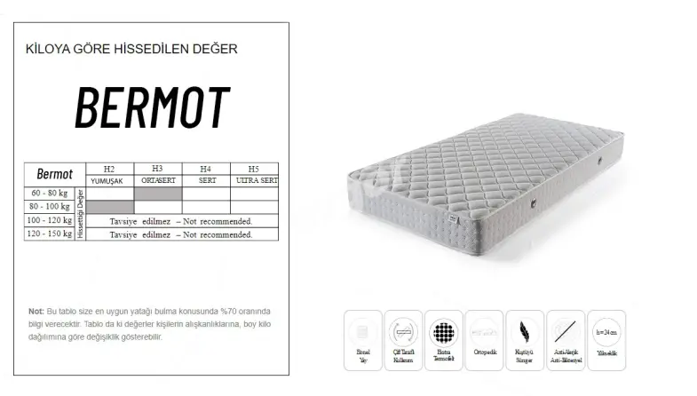 Bermot Spring Bed - 3