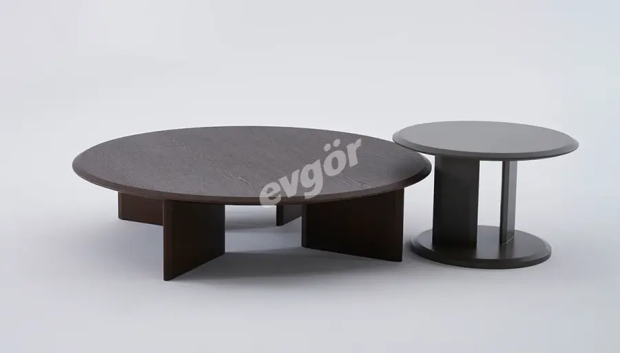 Kumru Modern Orta Sehpa - 1