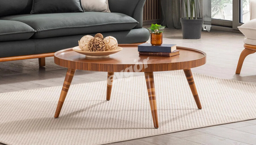 Miya Modern Orta Sehpa