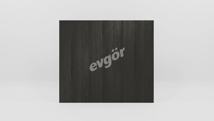 Raven Modern TV Panosu