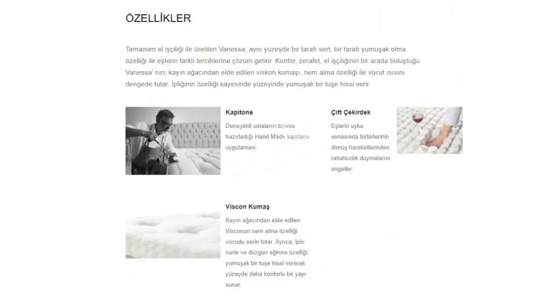 Rondesa Quilted Spring Bed - 4