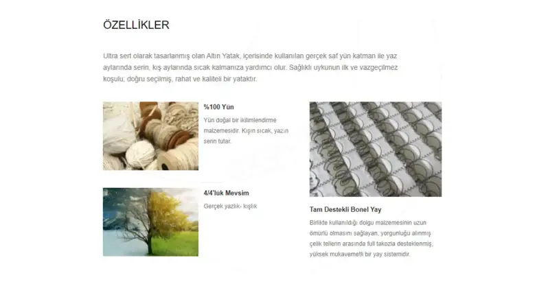 Sofina Spring Bed - 3