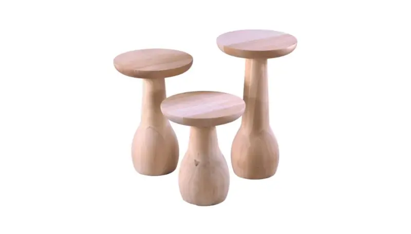 Valora Vazo Mantar Zigon