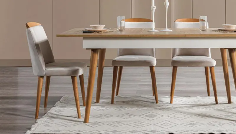 Comfort Modern Sandalye