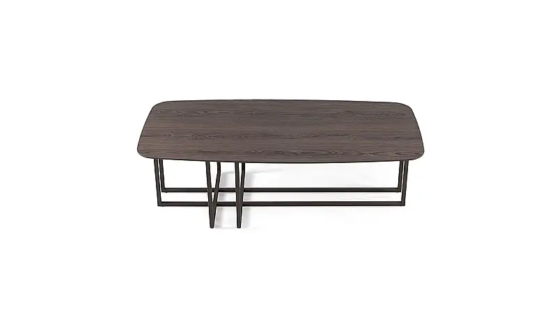 Dandela Modern Coffee Table - 2