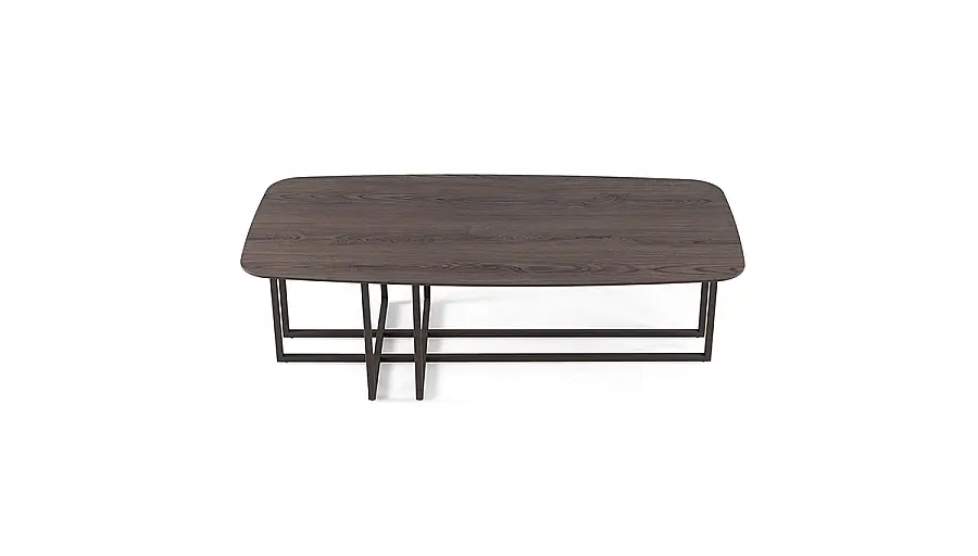 Dandela Modern Coffee Table - 2