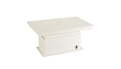 Ellay White Coffee Table - 2