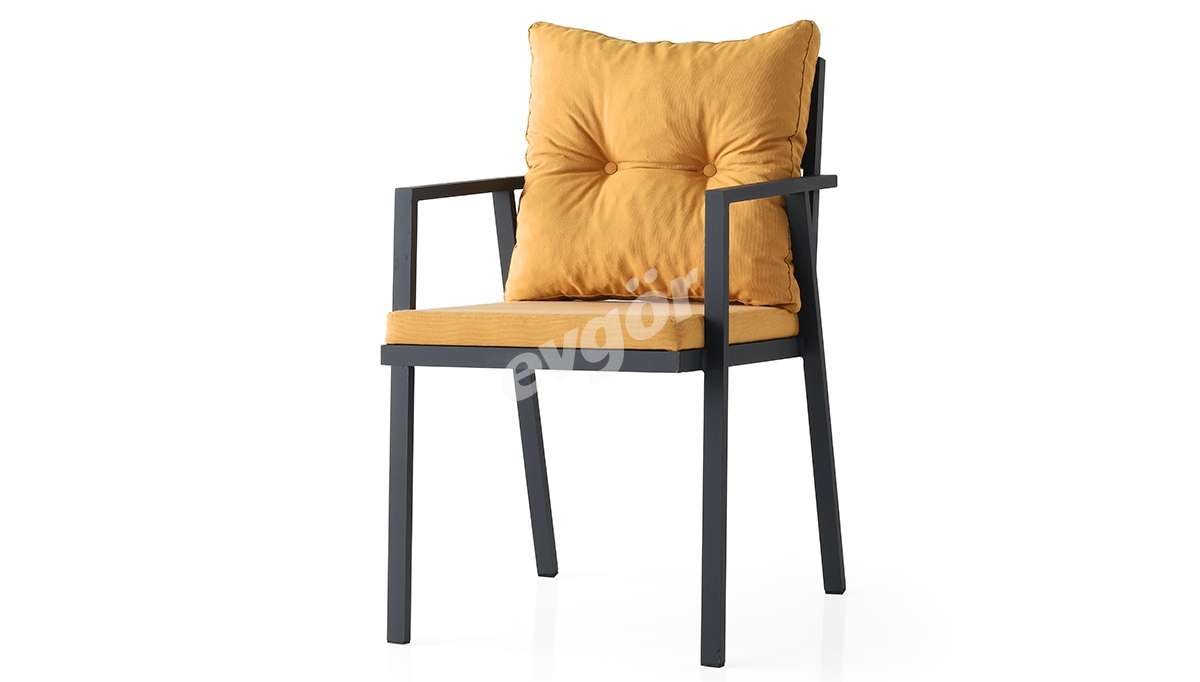 Lartes Metal Chair