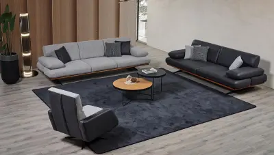 Moana Modern Sofa Set - 2