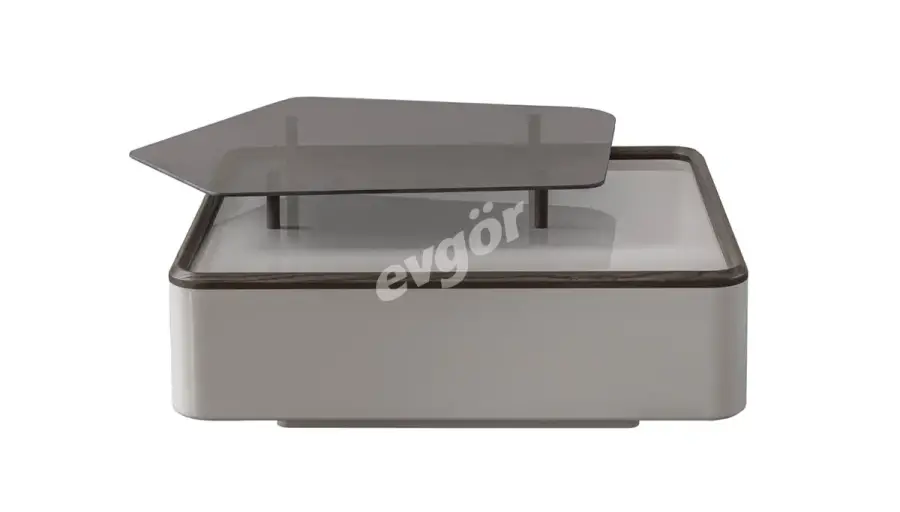Poyraz Modern Coffee Table - 1