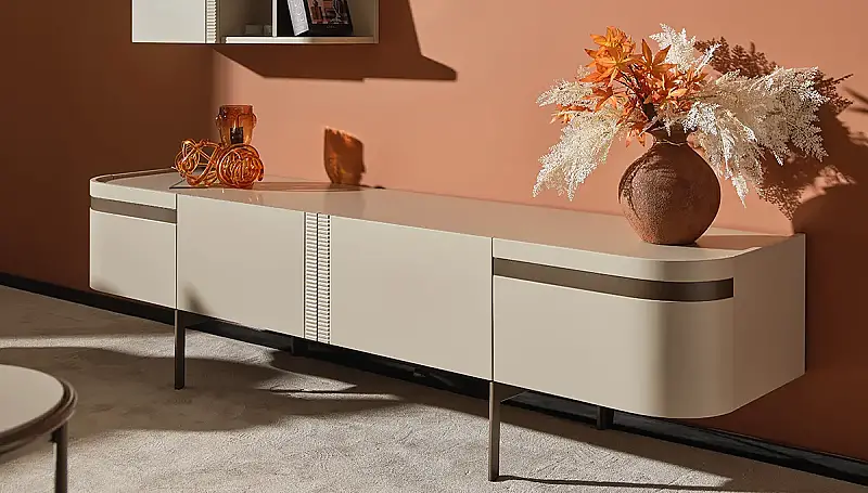 Rana Modern Television Stand