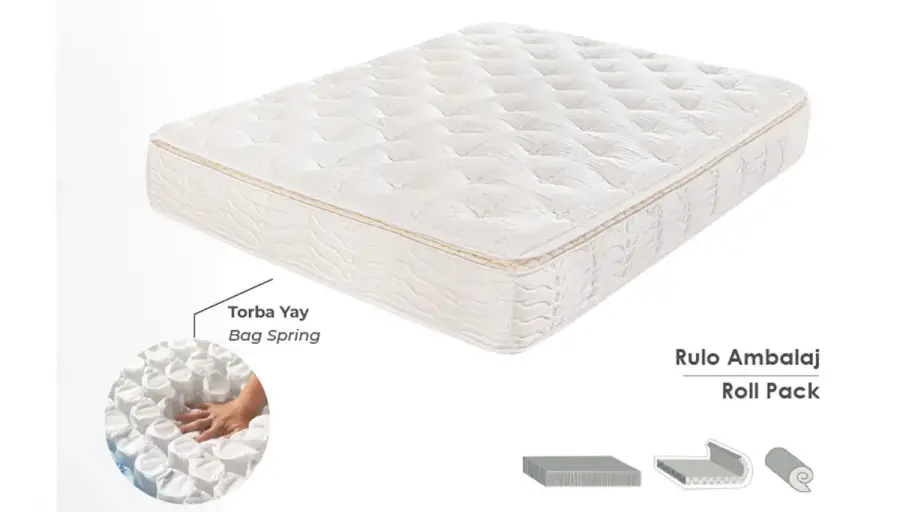 Seten Bed and Base Set - 6