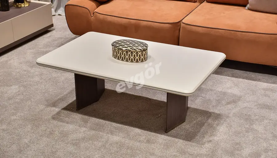 Terva Modern Koltuk Takımı - 4