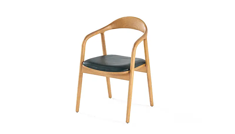 Feyndal Modern Sandalye - 4