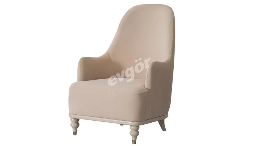 Frezya Modern Berjer