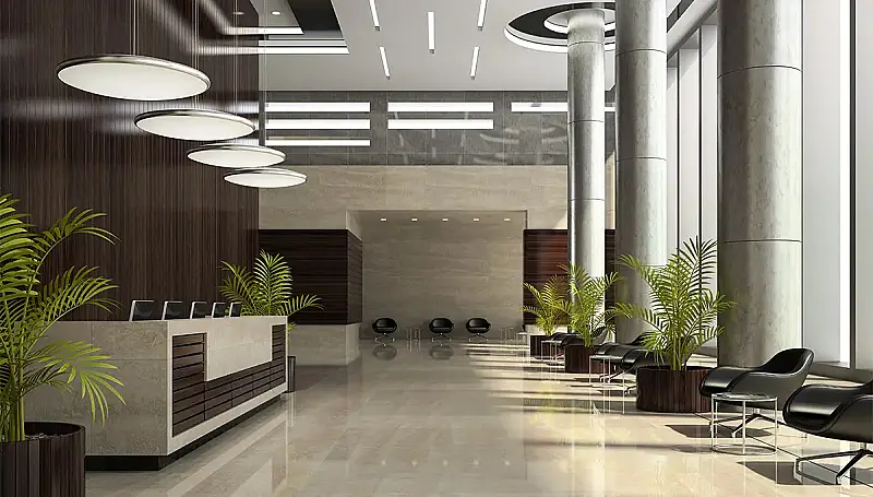 Lisan Lobi Tasarımı 