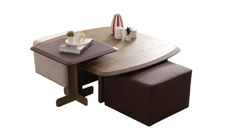 Lotus Modern Orta Sehpa - 1