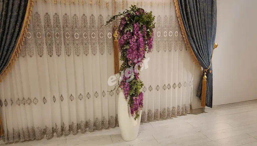  Hazel Beyaz Saksılı Çiçek (Hemen Teslim) - 4