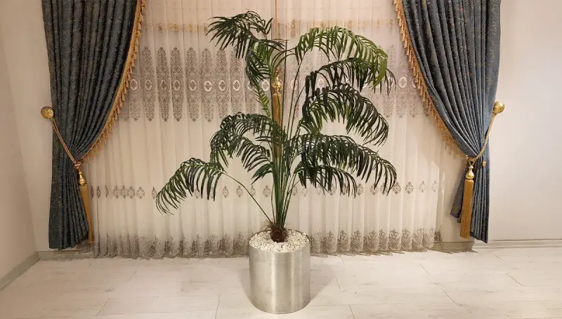 Softy Gri Saksılı Palmiye (Hemen Teslim) - 1