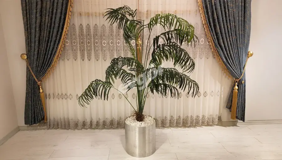 Softy Gri Saksılı Palmiye (Hemen Teslim) - 1