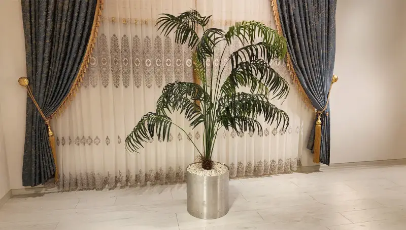 Softy Gri Saksılı Palmiye (Hemen Teslim) - 2