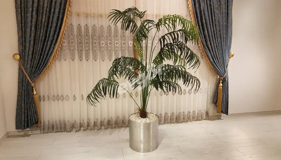 Softy Gri Saksılı Palmiye (Hemen Teslim) - 2