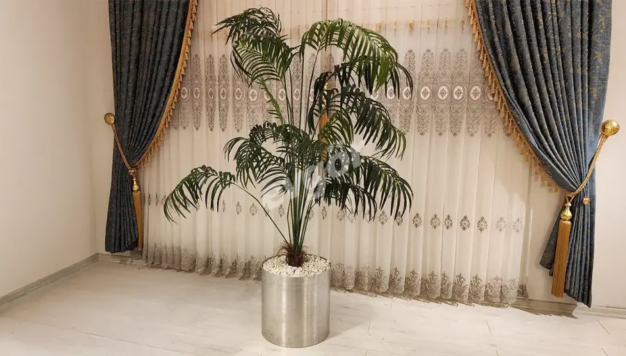 Softy Gri Saksılı Palmiye (Hemen Teslim) - 3