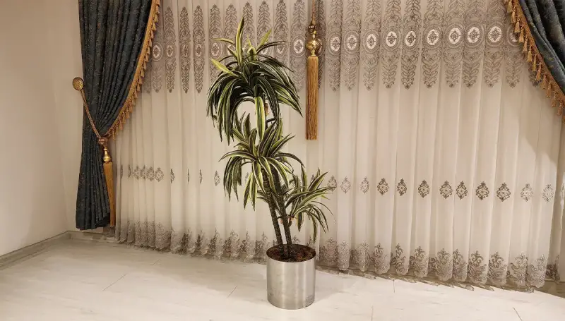 Step Gri Saksılı Çiçek (Hemen Teslim) - 2