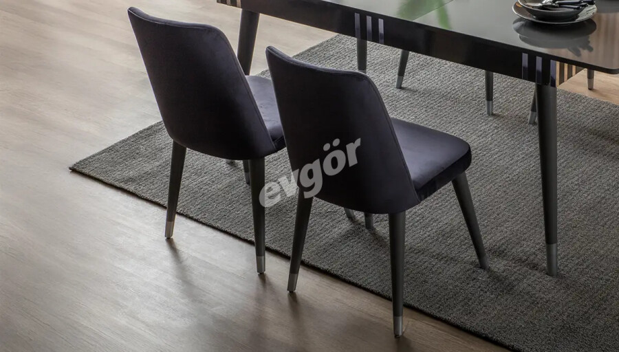 Zenose Antrasit Modern Sandalye